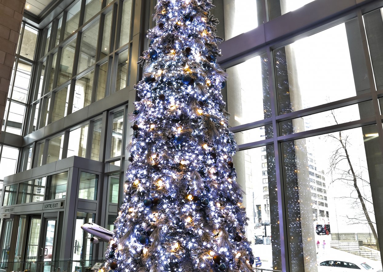 Snowy Christmas tree - Montreal building